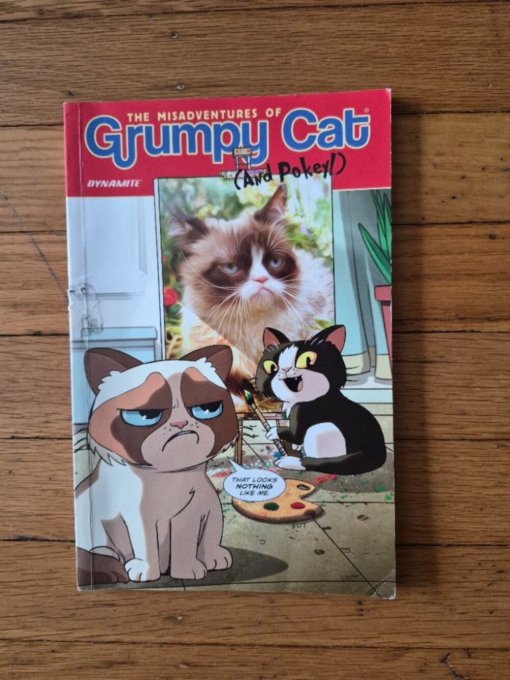The Misadventures of Grumpy Cat and Pokey!